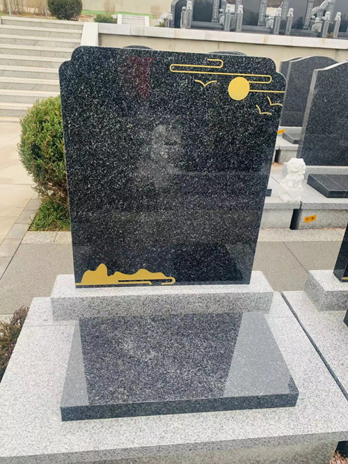Ĺ